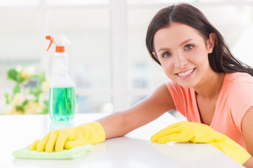 Professional sofa cleaning in a Loxford living room
