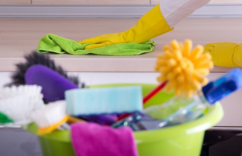 Carpet and upholstery pet stain cleaning in Loxford