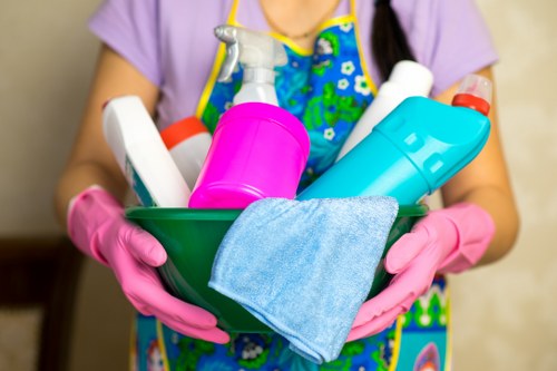 Professional carpet cleaning process for local homes and offices