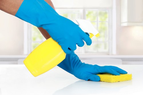 Professional carpet cleaning in a Loxford home living room