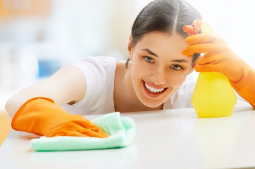 Checklist for assessing carpet cleaning service concerns