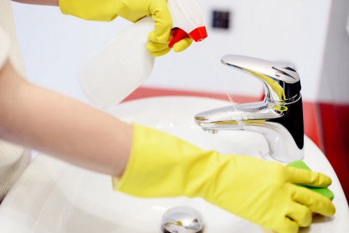 Specialist deep cleaning process for rugs in Loxford