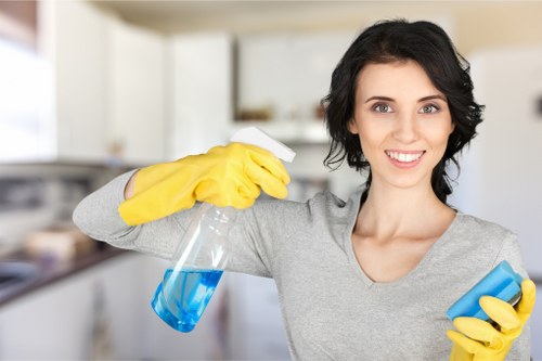 Illustration of cookie categories for a carpet cleaning website