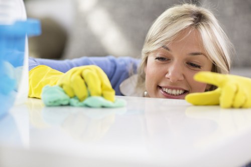 Quick spill cleanup before stain removal in Loxford