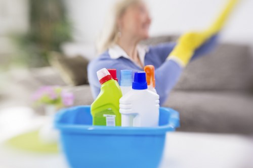 Enzyme-based pet odour removal service in Loxford