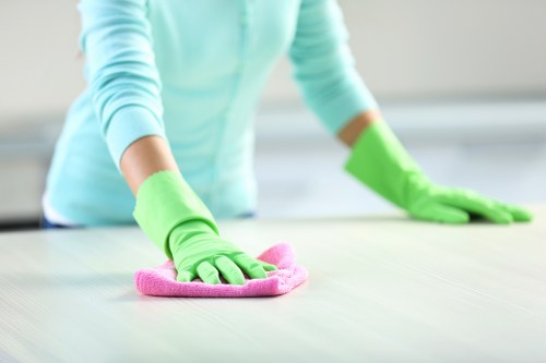 Transparent carpet cleaner quotes for homes and businesses