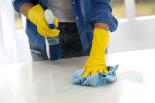 Deep upholstery cleaning equipment on a fabric sofa