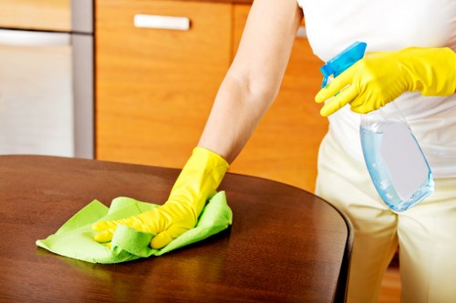 Upholstery cleaning equipment used on a sofa in Loxford