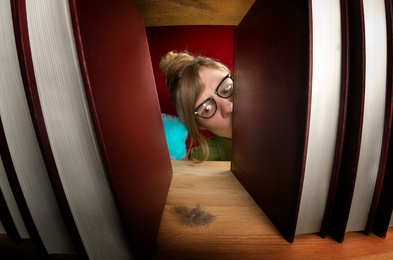 professional cleaners Clean